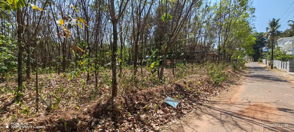 PLOT FOR SALE IN CHADAYAMANGALAM