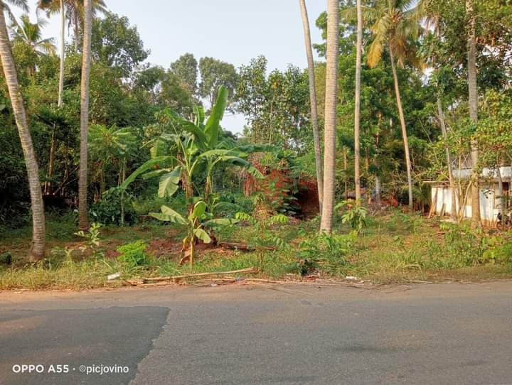 PLOT FOR SALE IN PERINGAMALA