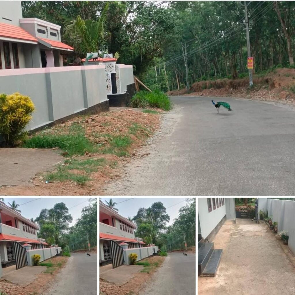 House For Sale In Anchal Karukon Kollam