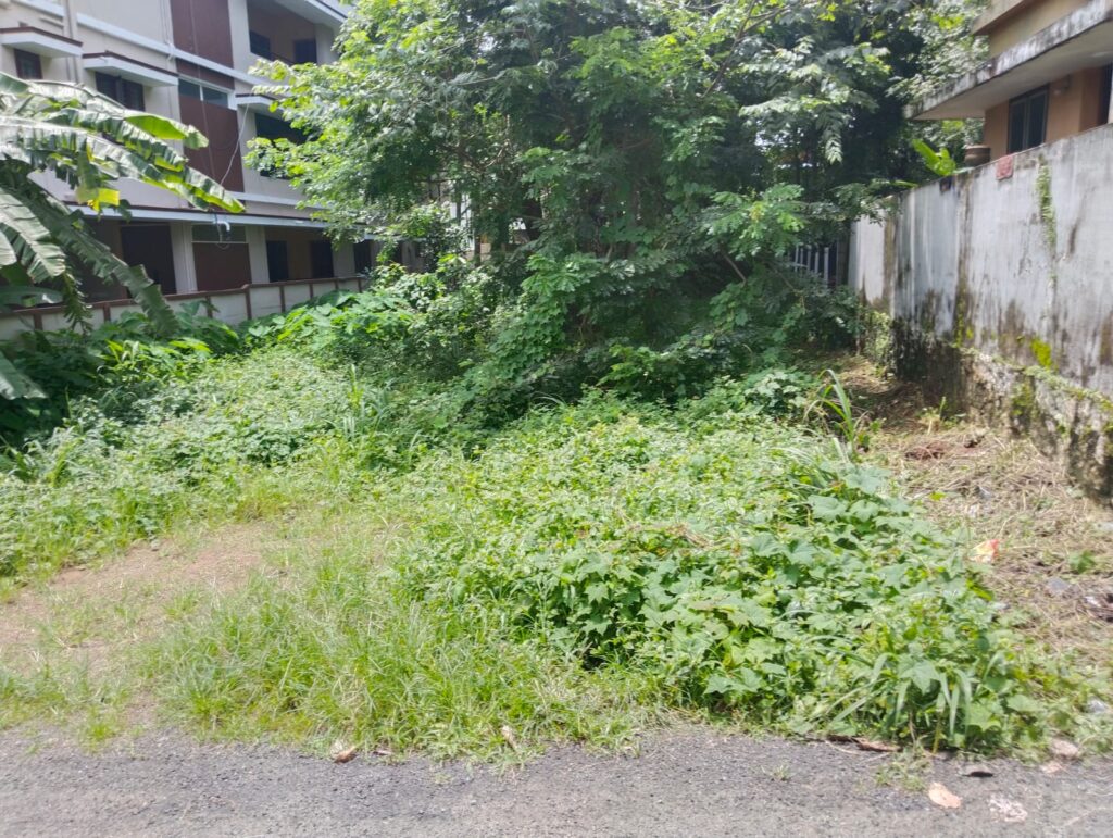 Plot for Sale In Vadakanchary Thrissur