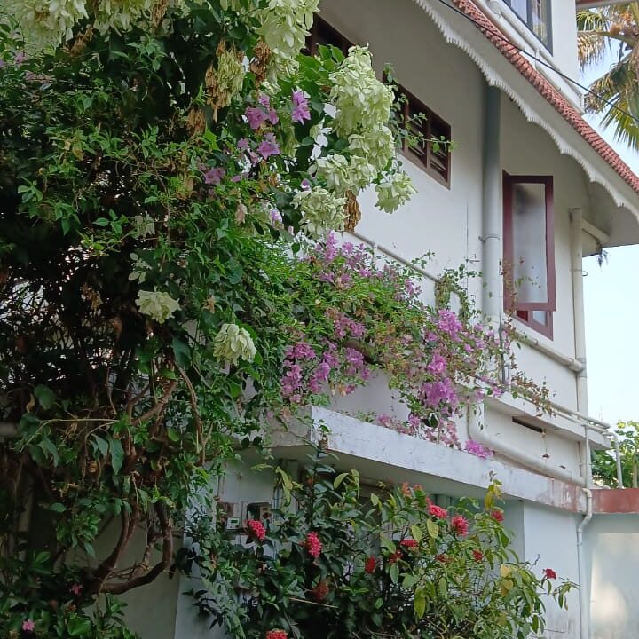 IMG-20250530-WA0052