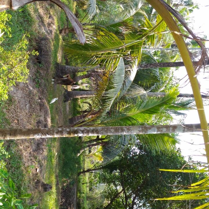 IMG-20250602-WA0031