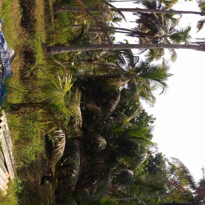 IMG-20250602-WA0032
