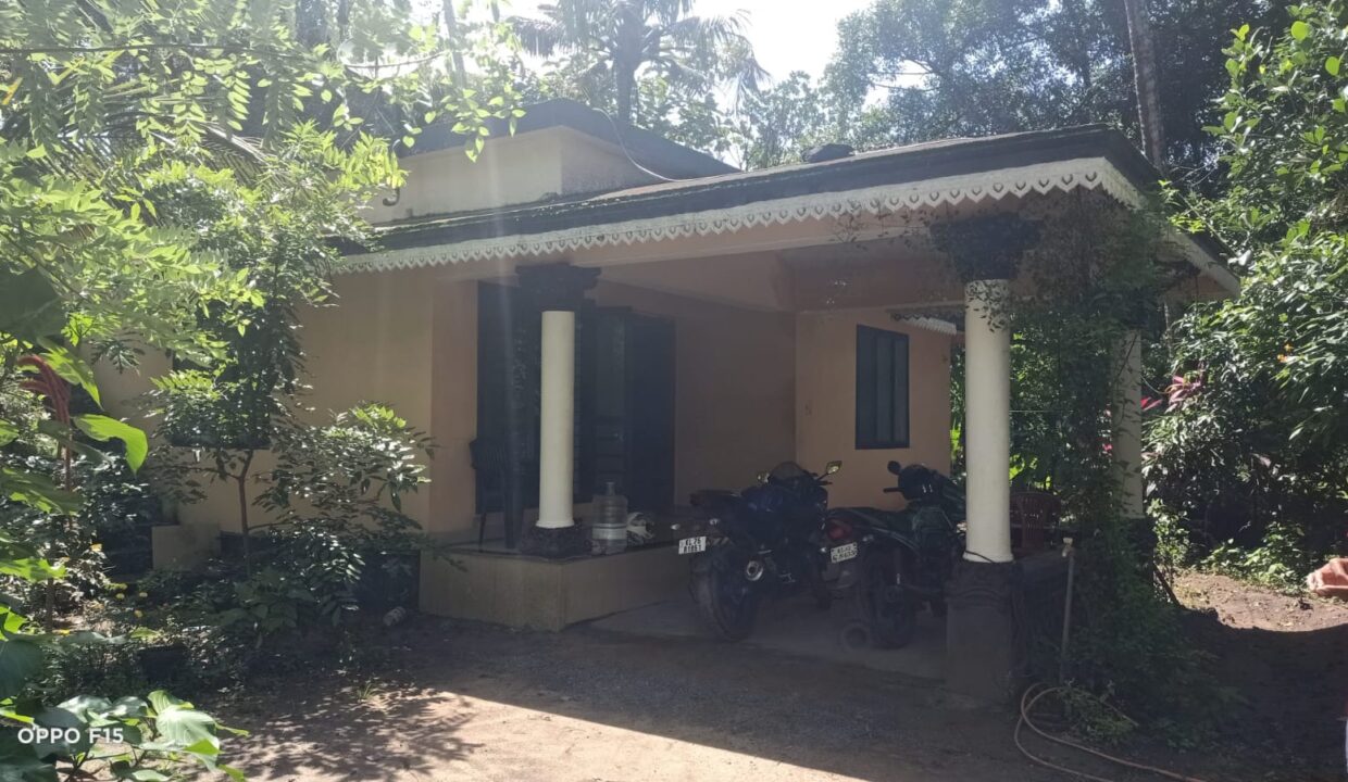 IMG-20250725-WA0027