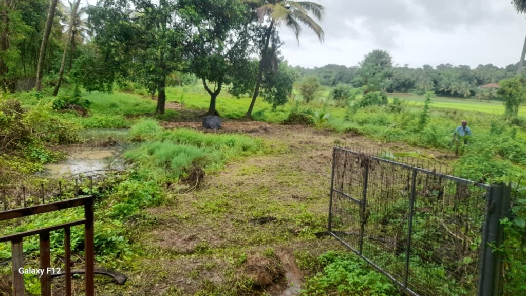 Plot For Sale In Thrissur Payyannur