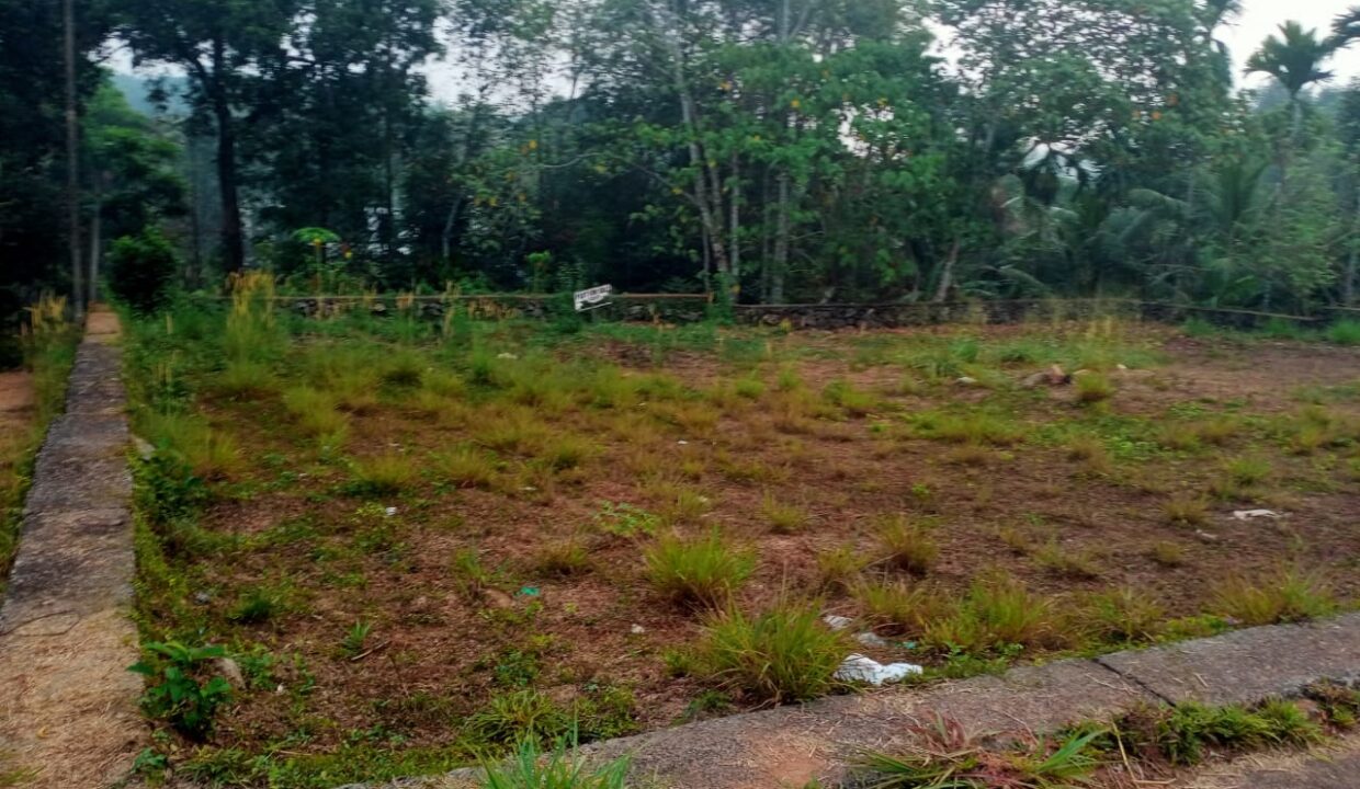 IMG-20250729-WA0028