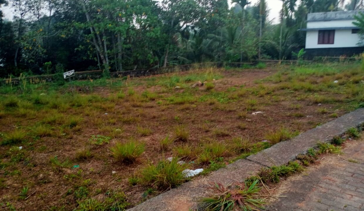 IMG-20250729-WA0030