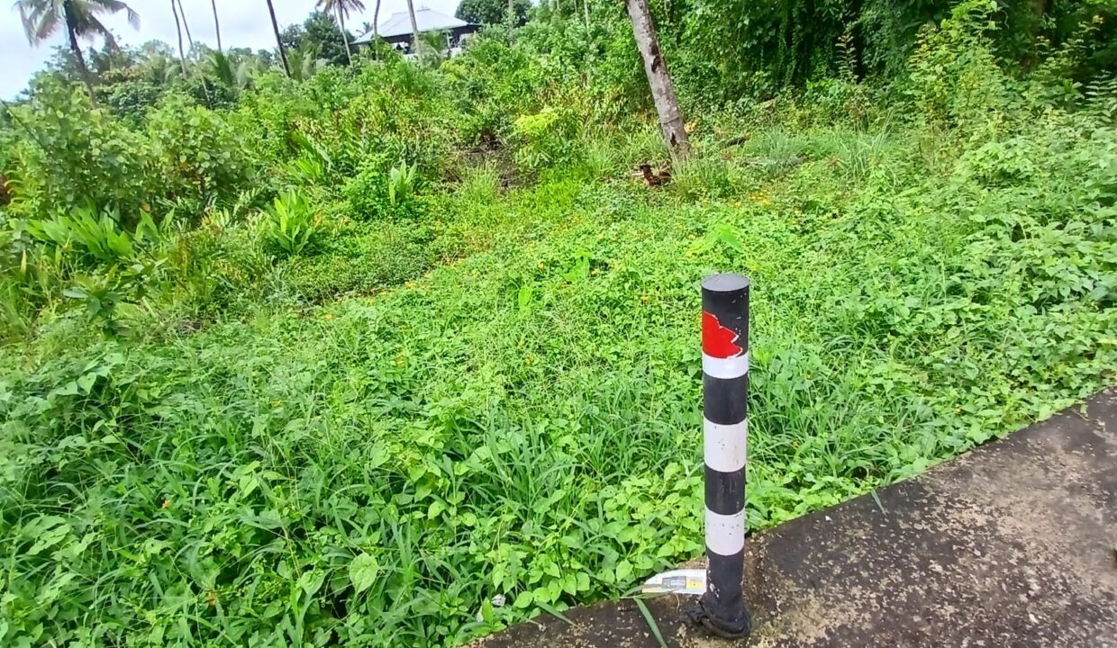 IMG-20250731-WA0003