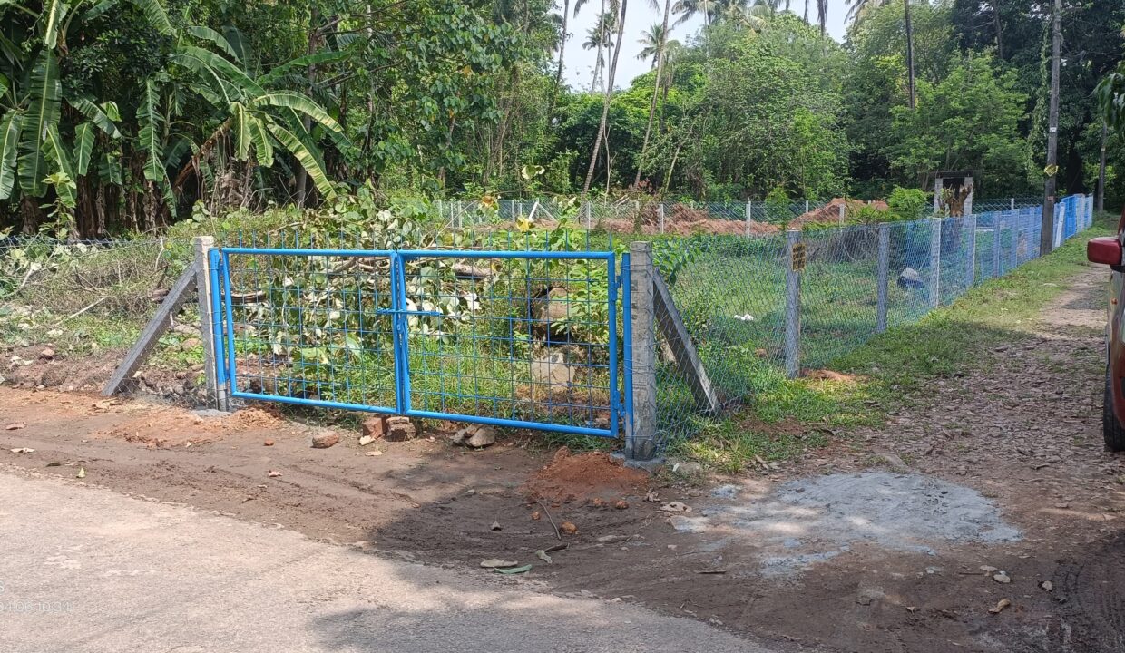 WhatsApp Image 2025-07-25 at 11.37.55 AM